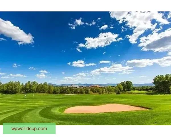 南特在梅斯挑战中重燃希望点燃俱乐部历史辉煌瞬间